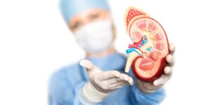 Prevalência e fatores associados a não inscrição para transplante renal